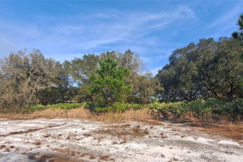 Land in Okeechobee, Florida № 1011859 - photo 26