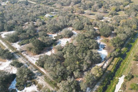 Land in Okeechobee, Florida № 1011859 - photo 1