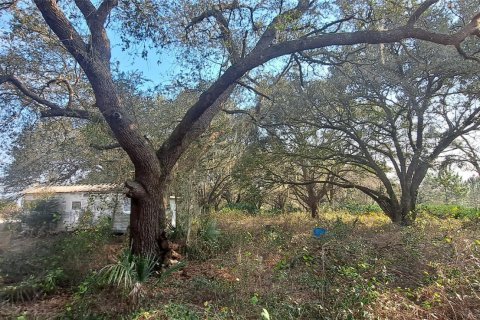 Land in Okeechobee, Florida № 1011859 - photo 24