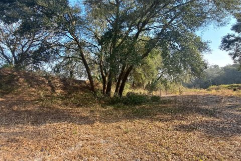 Land in Okeechobee, Florida № 1011859 - photo 5