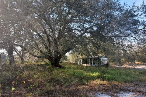 Land in Okeechobee, Florida № 1011859 - photo 10