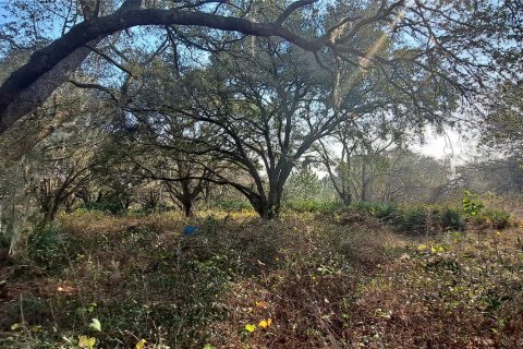 Land in Okeechobee, Florida № 1011859 - photo 16