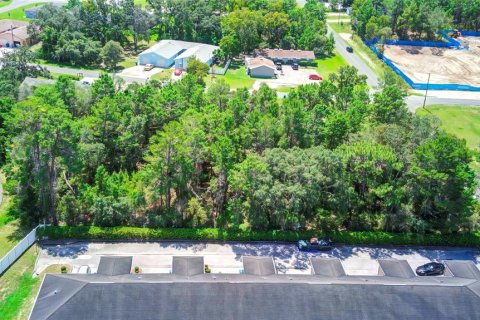 Terreno en venta en Spring Hill, Florida № 1341046 - foto 8