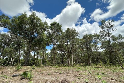 Land in Reddick, Florida № 1337556 - photo 10