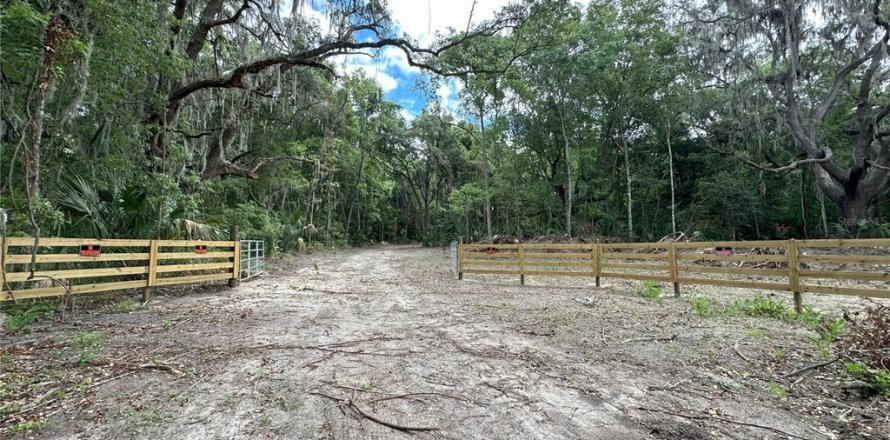 Terrain à Reddick, Floride № 1337556