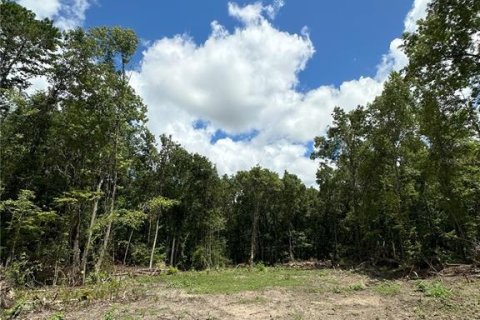 Terreno en venta en Reddick, Florida № 1337556 - foto 12