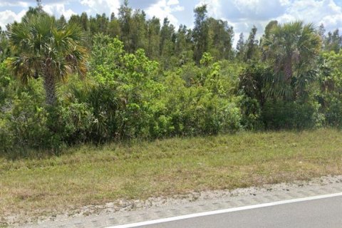 Terrain à vendre à Punta Gorda, Floride № 997070 - photo 1