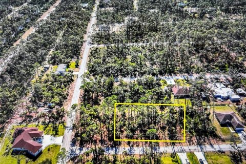 Land in Port Charlotte, Florida № 1150013 - photo 2