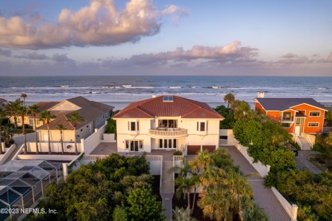 Villa ou maison à vendre à Saint Augustine, Floride: 4 chambres, 484.39 m2 № 771073 - photo 2