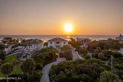 Villa ou maison à vendre à Saint Augustine, Floride: 4 chambres, 484.39 m2 № 771073 - photo 1