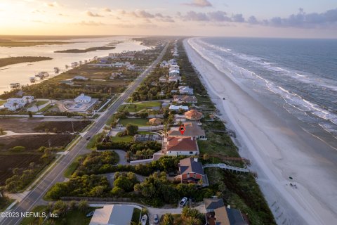 Villa ou maison à vendre à Saint Augustine, Floride: 4 chambres, 484.39 m2 № 771073 - photo 4