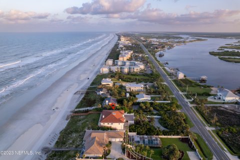 Villa ou maison à vendre à Saint Augustine, Floride: 4 chambres, 484.39 m2 № 771073 - photo 8