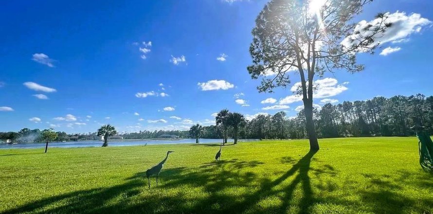 Terreno en New Smyrna Beach, Florida № 1341722