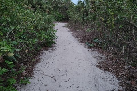 Land in Hutchinson Island South, Florida № 266630 - photo 1