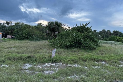 Купить земельный участок в Хатчинсон-Айленд-Саут, Флорида № 266630 - фото 7