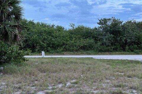 Land in Hutchinson Island South, Florida № 266630 - photo 6