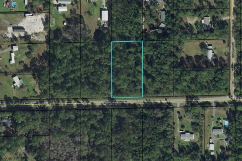 Terreno en venta en Bunnell, Florida № 1352507 - foto 3