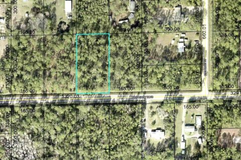 Land in Bunnell, Florida № 1352507 - photo 1