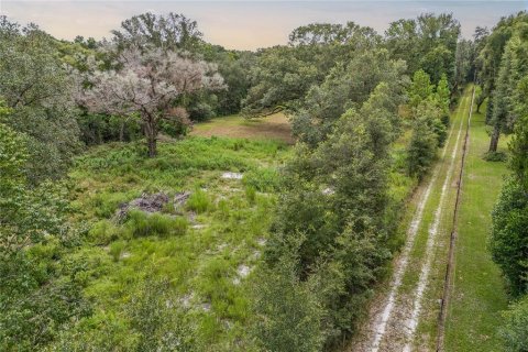 Land in Archer, Florida № 1361354 - photo 11