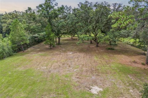 Terreno en venta en Archer, Florida № 1361354 - foto 1