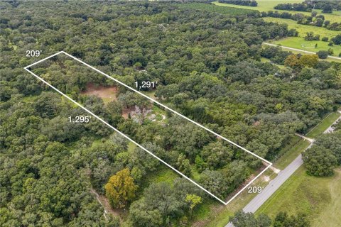 Land in Archer, Florida № 1361354 - photo 12