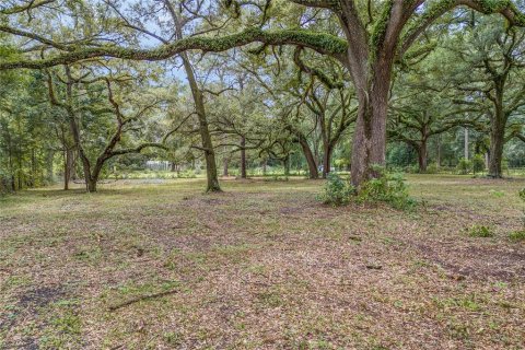 Land in Archer, Florida № 1361354 - photo 5