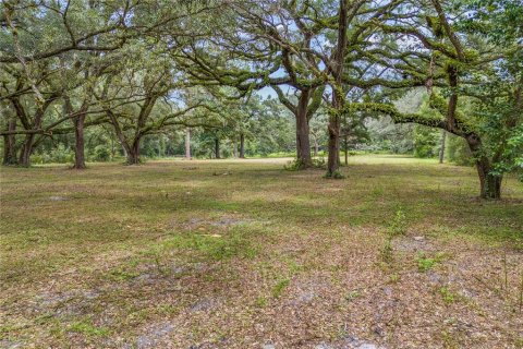 Land in Archer, Florida № 1361354 - photo 4