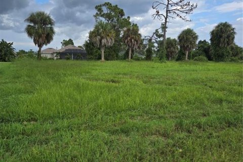 Terreno en venta en Rotonda, Florida № 1324787 - foto 3