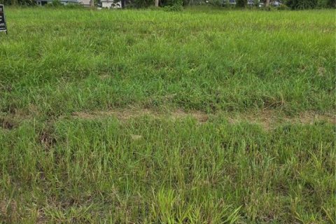 Land in Rotonda, Florida № 1324787 - photo 5