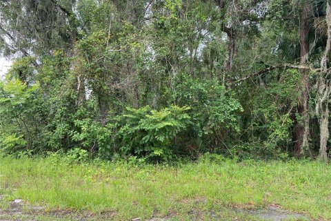 Land in DeLand, Florida № 533633 - photo 1