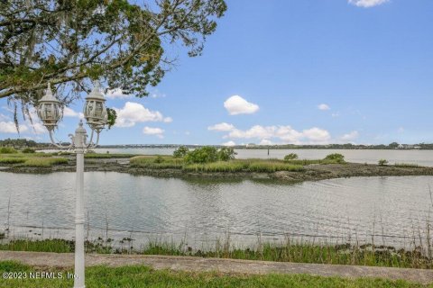 Villa ou maison à vendre à Saint Augustine, Floride: 5 chambres, 324.69 m2 № 767364 - photo 5