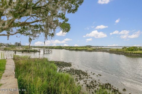 Villa ou maison à vendre à Saint Augustine, Floride: 5 chambres, 324.69 m2 № 767364 - photo 21