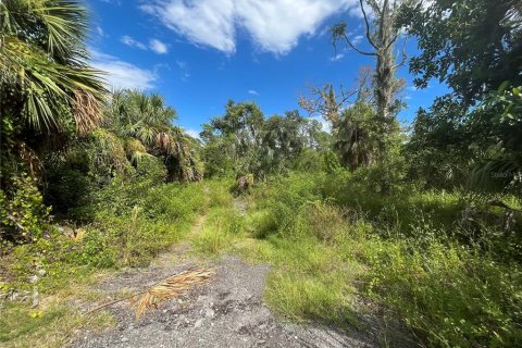 Land in Port Charlotte, Florida № 667846 - photo 11