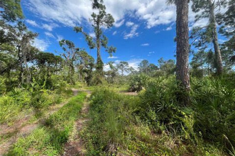 Land in Port Charlotte, Florida № 667846 - photo 17