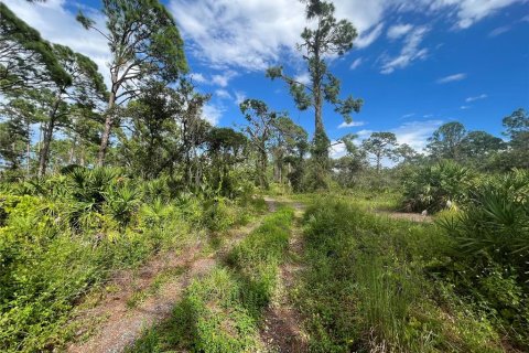 Terreno en venta en Port Charlotte, Florida № 667846 - foto 16