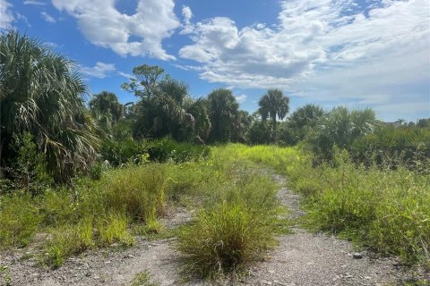 Land in Port Charlotte, Florida № 667846 - photo 8