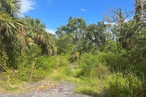 Land in Port Charlotte, Florida № 667846 - photo 10