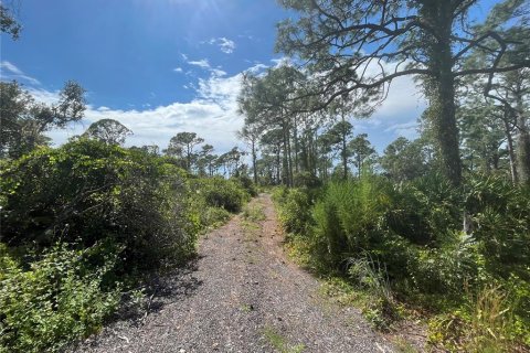 Terreno en venta en Port Charlotte, Florida № 667846 - foto 6