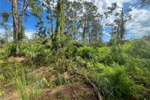 Terreno en venta en Port Charlotte, Florida № 667846 - foto 15