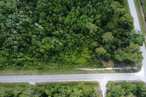 Land in Okeechobee, Florida № 1207769 - photo 2