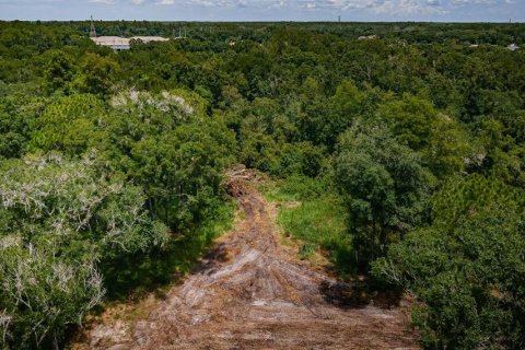 Terreno en venta en Tampa, Florida № 1354450 - foto 7