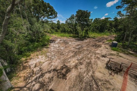 Terreno en venta en Tampa, Florida № 1354450 - foto 6