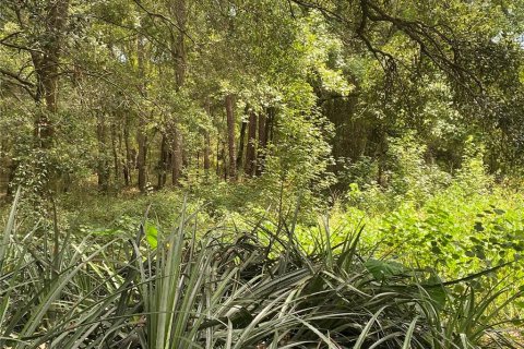 Terreno en venta en Dade City, Florida № 1290344 - foto 2