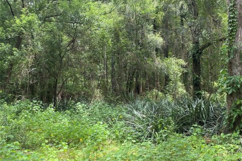 Terrain à vendre à Dade City, Floride № 1290344 - photo 3