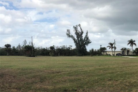 Terreno en venta en Punta Gorda, Florida № 1432478 - foto 7