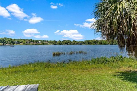 Villa ou maison à vendre à Mount Dora, Floride: 4 chambres, 305.65 m2 № 1352779 - photo 6