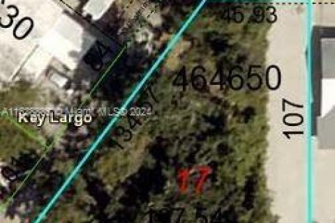 Terreno en venta en Key Largo, Florida № 1325551 - foto 2