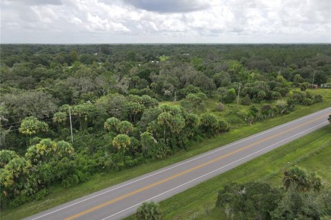 Terrain à vendre à Okeechobee, Floride № 1353286 - photo 3