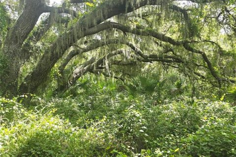 Land in Okeechobee, Florida № 1353286 - photo 15