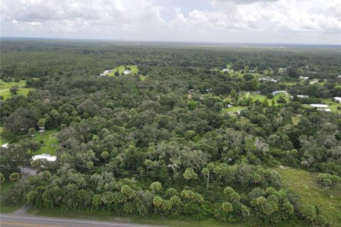 Terrain à vendre à Okeechobee, Floride № 1353286 - photo 4